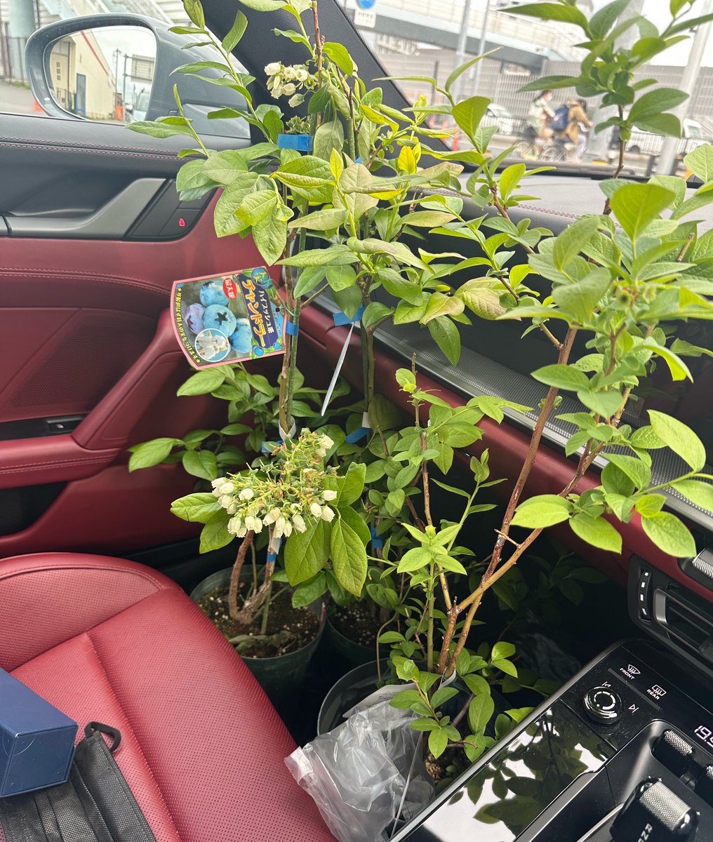 赚_LCat tweet media