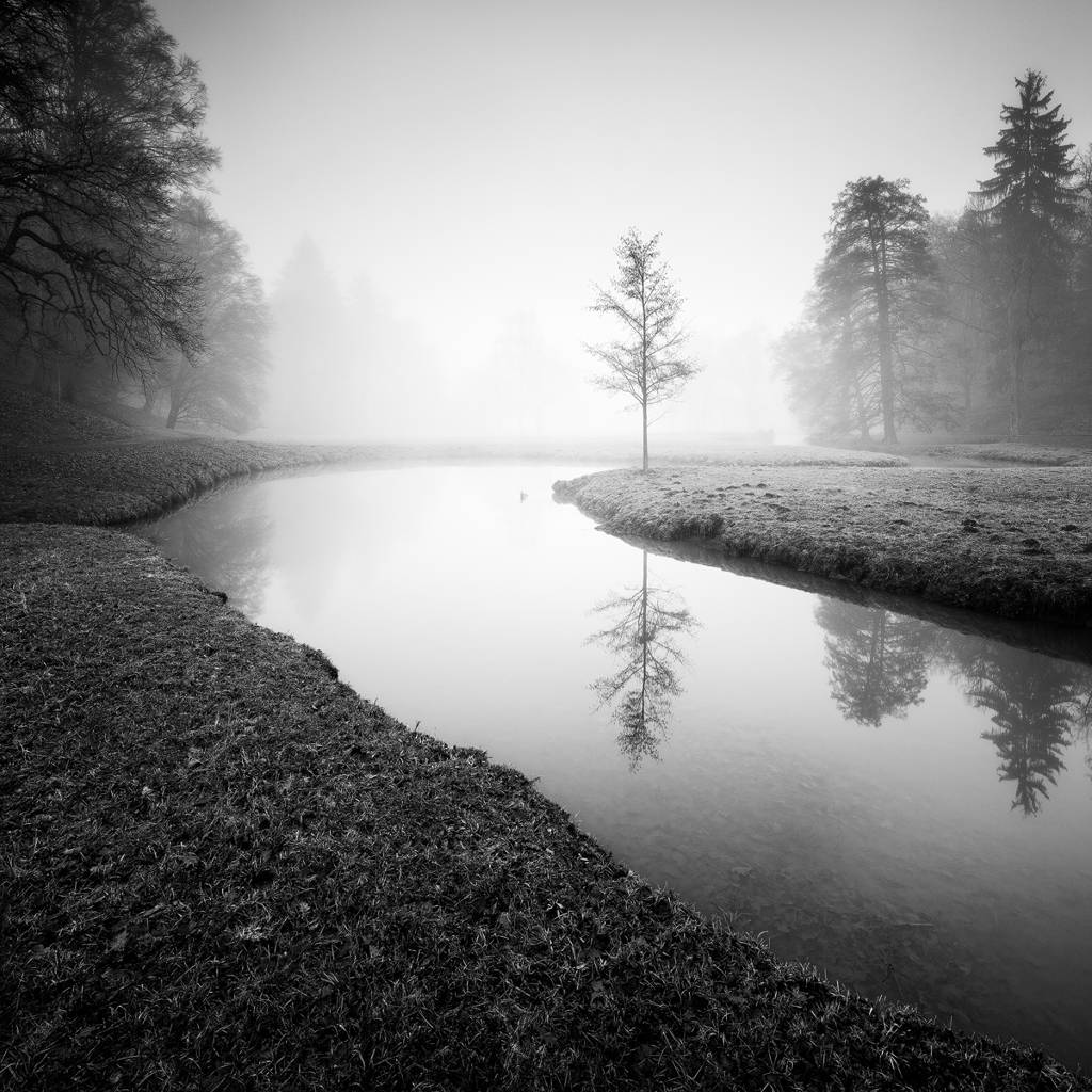 artlimitednet's tweet photo. Morning in the Park II by Martin Rak https://t.co/mmjpOuG2nz
#digital #fineart #bw_society #trees #photography #park #bnwphotos #slowshutterspeed #water #longexposurephotography #place #blackandwhitephoto #morning #longexposure #construction #exposure #monochrome #garden… https://t.co/OT0SGARwt1