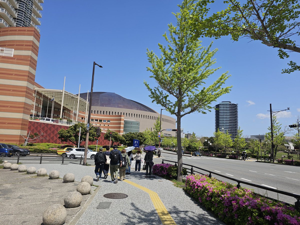 ぶーたん tweet media