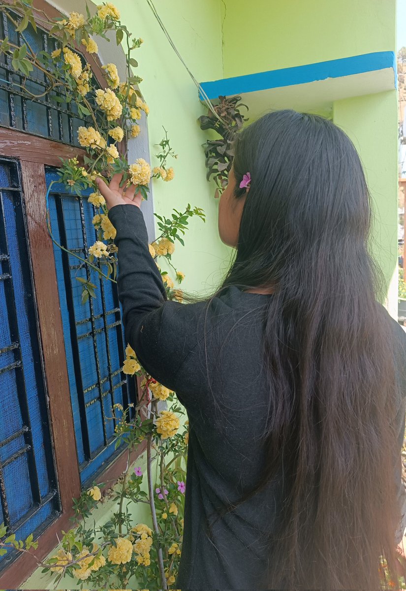 Manisha8445's tweet photo. मौन संवाद था, तो लिखी चिट्ठियां। 
एक मधुर पुष्प को,खोजती तितलियां।
मन का कमरा प्रिये! सूना तुम बिन लगे,
लौट आने को अब, कह रही खिड़कियां।
मनी भंडारी ✍🏻
#प्रेम #मुक्तक #हिंदी #viral #साहित्य #poetry #उत्तराखंड #इंतजार https://t.co/VDj03trjQF