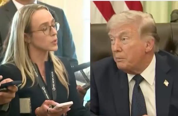 Occupy Democrats tweet media