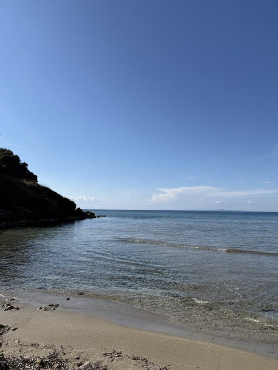 Alex Crypto tweet media