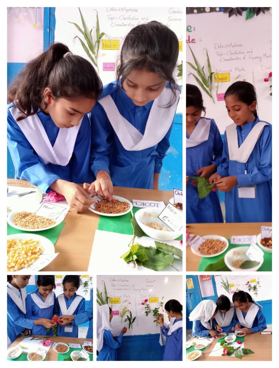 kaneez Fatima tweet media