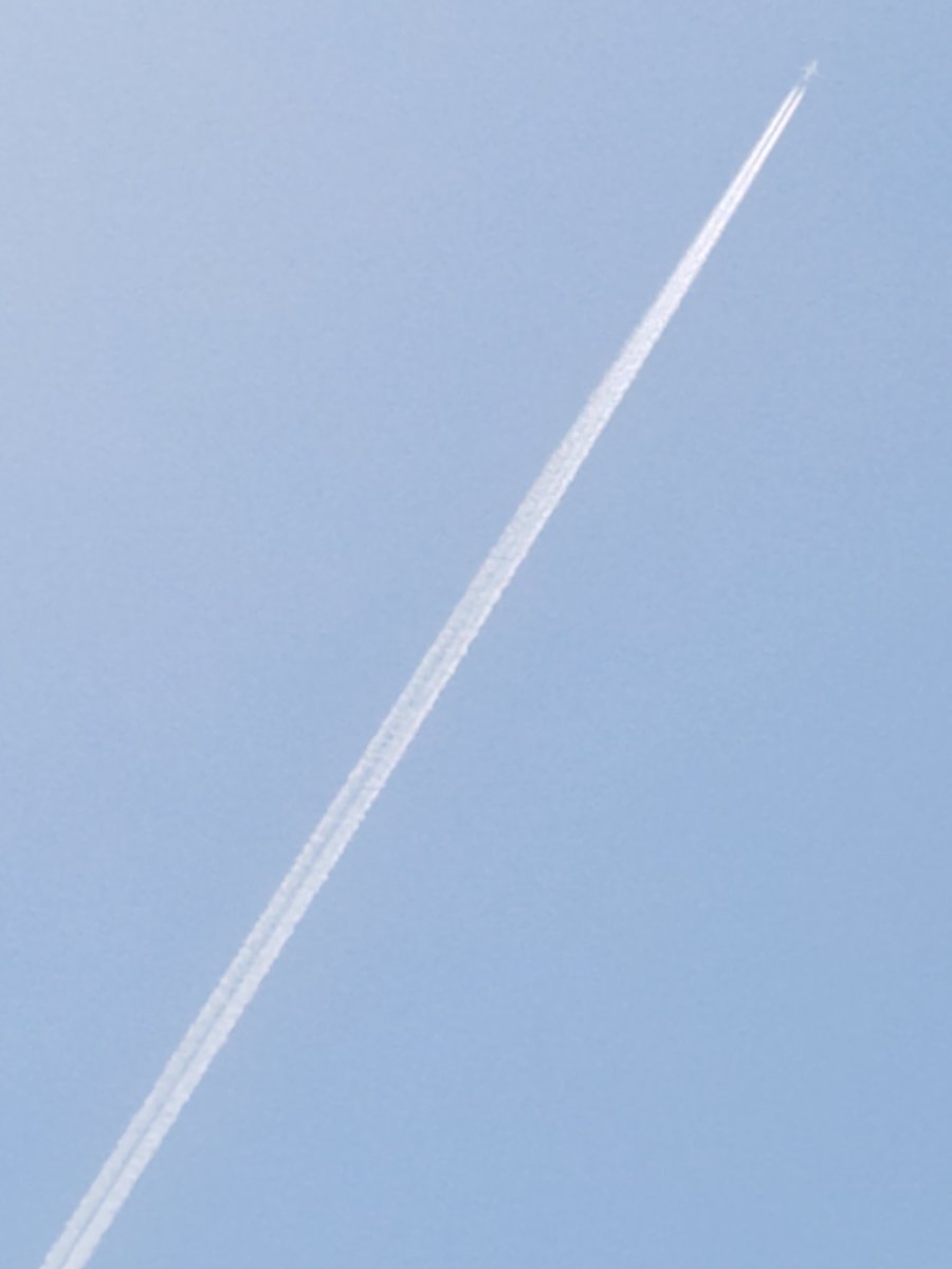 ryou1115 tweet media