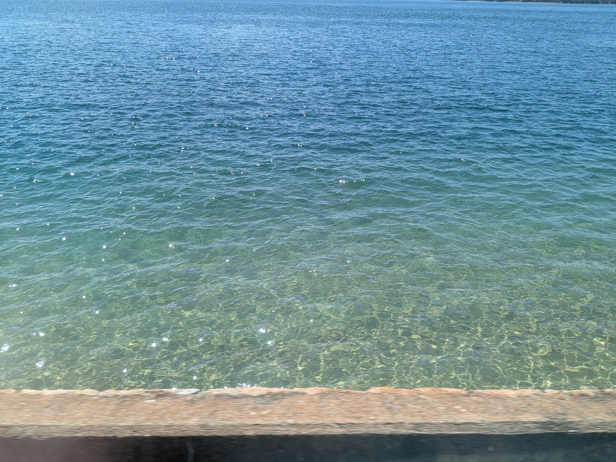 えり⊿ デジLIG卒 tweet media