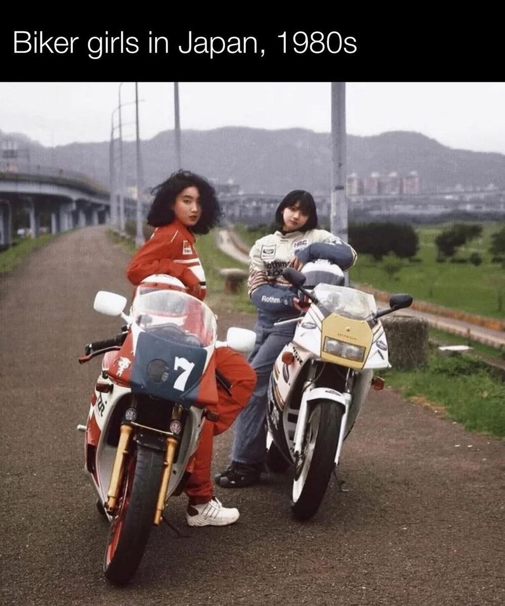 Declaration of Memes tweet media