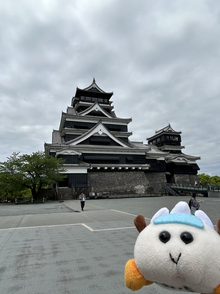 よういち tweet media