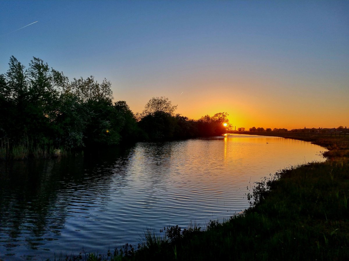 Tjark Dieterman tweet media