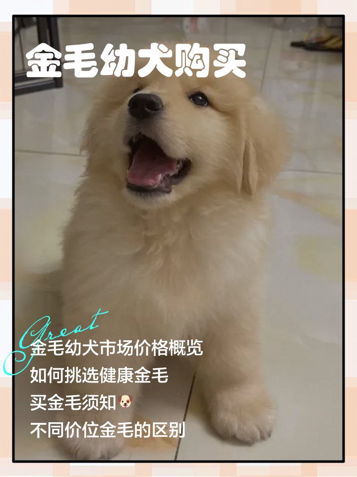 Logotouch Ltd tweet media