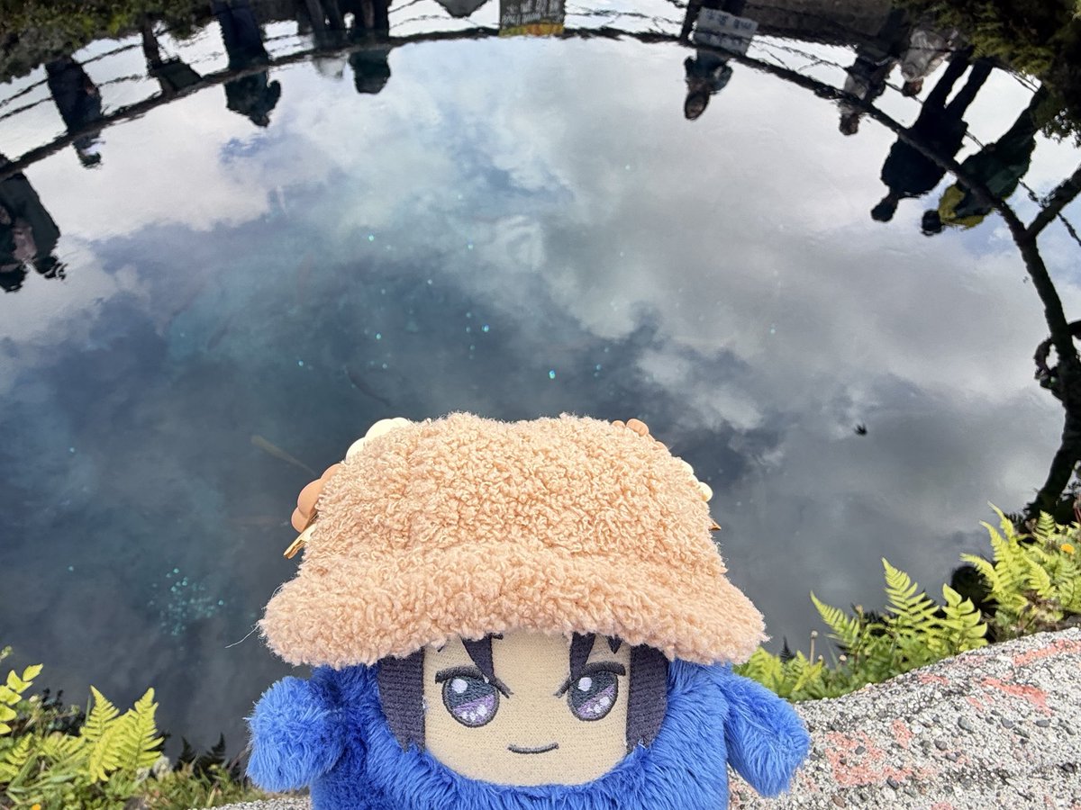 🍙マネ1年生 tweet media