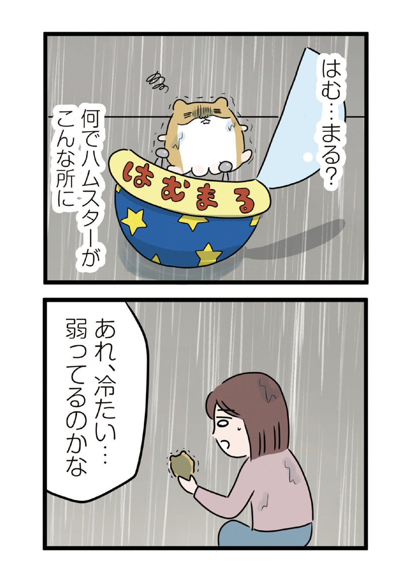2/6 