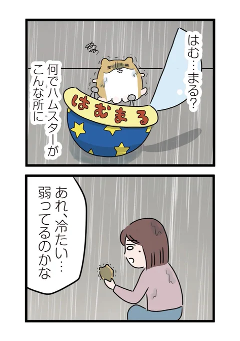 2/6 