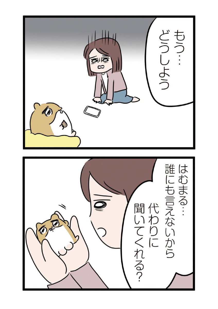 2/6 