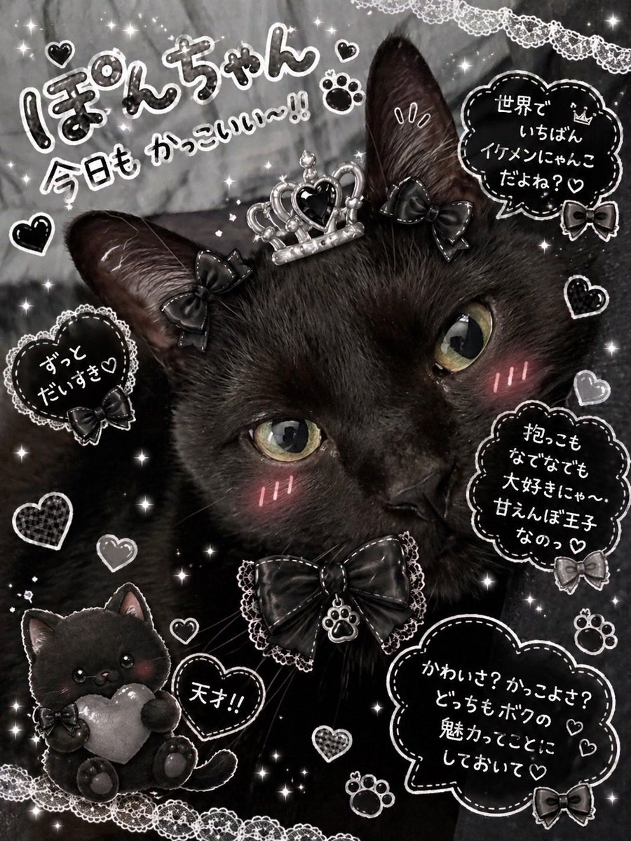 くろのねこ ふとっちぃZooにゃんこ 黒猫 | リードのおみせ Catail