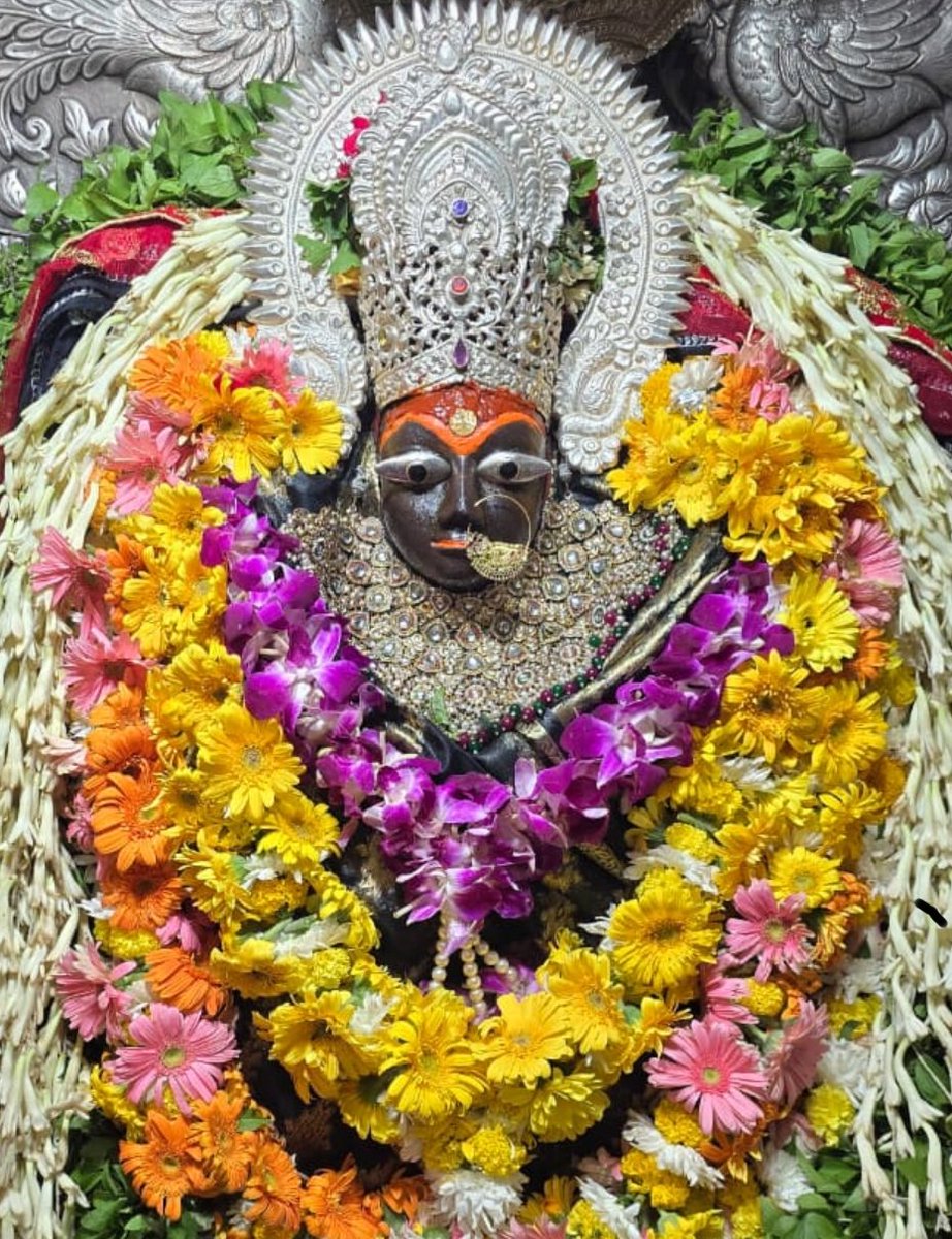 manisha pathak (मोदी का परिवार) tweet media