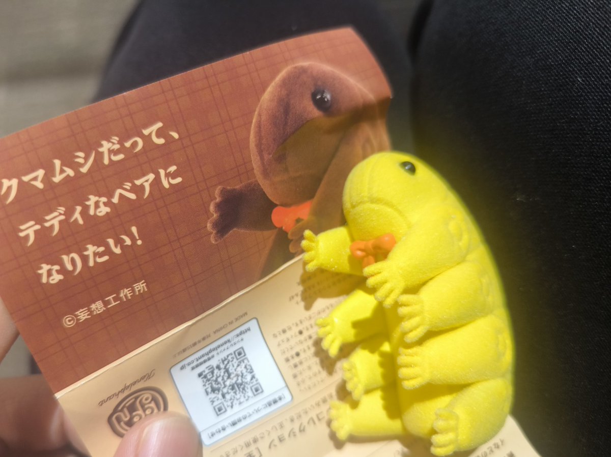 みじんこ〜 tweet media