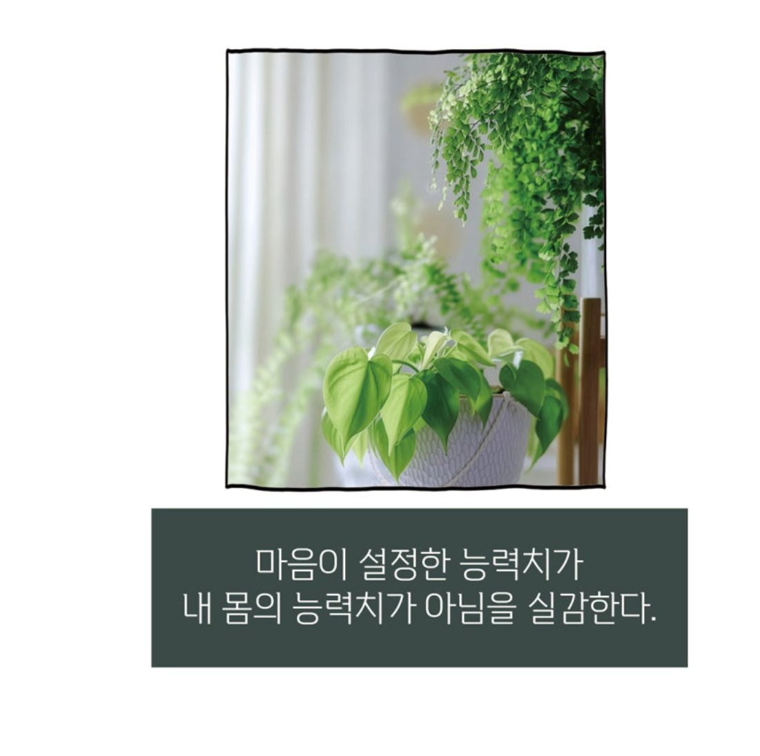 시나브 tweet media