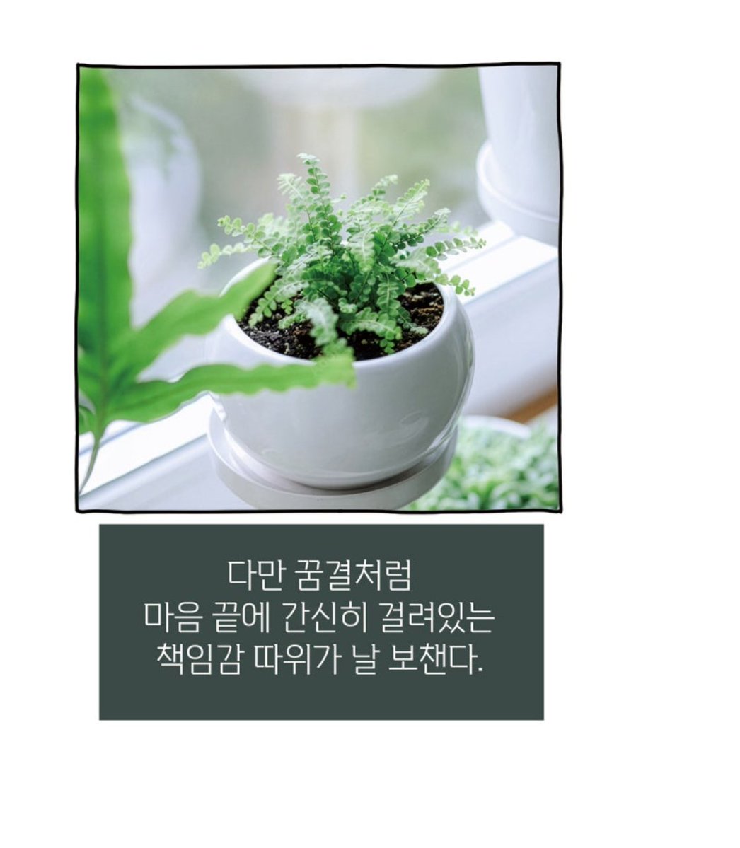 시나브 tweet media