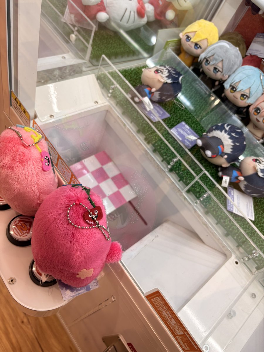 卯月満{推しが…尊い…尊死} tweet media