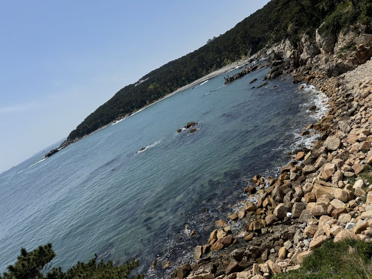 그랜드 챔피언 SAM (D1) tweet media