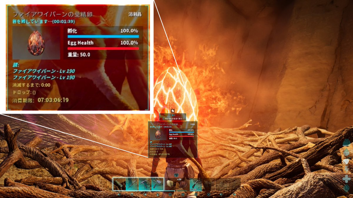 iizuna_san's tweet image. おおあああ゙っ！！！パイロメイン探してたらファイアのLv.190卵あった！！！孵化やっ！迷わず孵化やっ！！この土日は孵化祭りやっ！！！
#ARK #ASA
#ARKSurvivalAscended 
#スコーチドアース