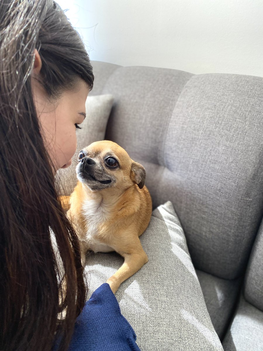 monimed_s's tweet photo. Extraño tus ojitos, tus pelitos en mi ropa, tus besitos, tocar tus orejitas y tus patas. 
Te extraño todos los días mi chikiwings🤍✨🥹
Llevo tu amor en mi corazón ♥️ https://t.co/sEDrh5GzjN