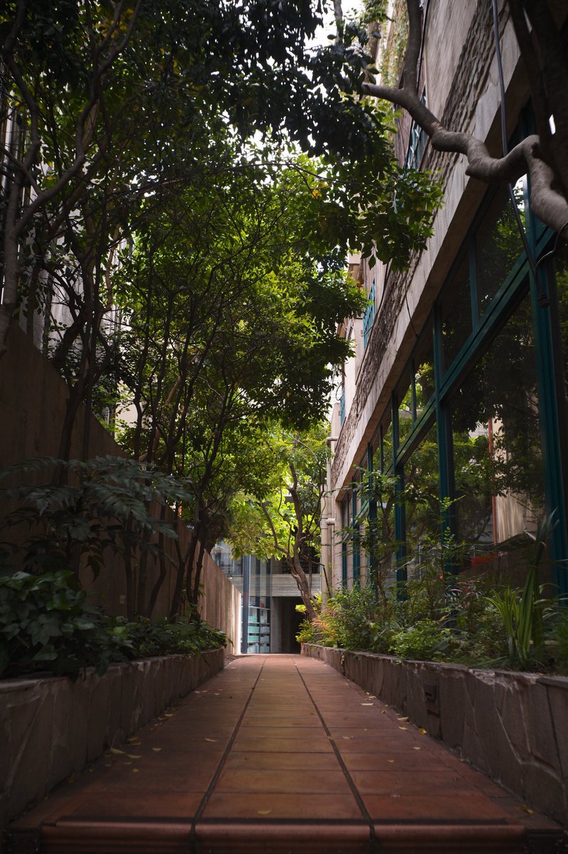 4D Modulation Studio tweet media