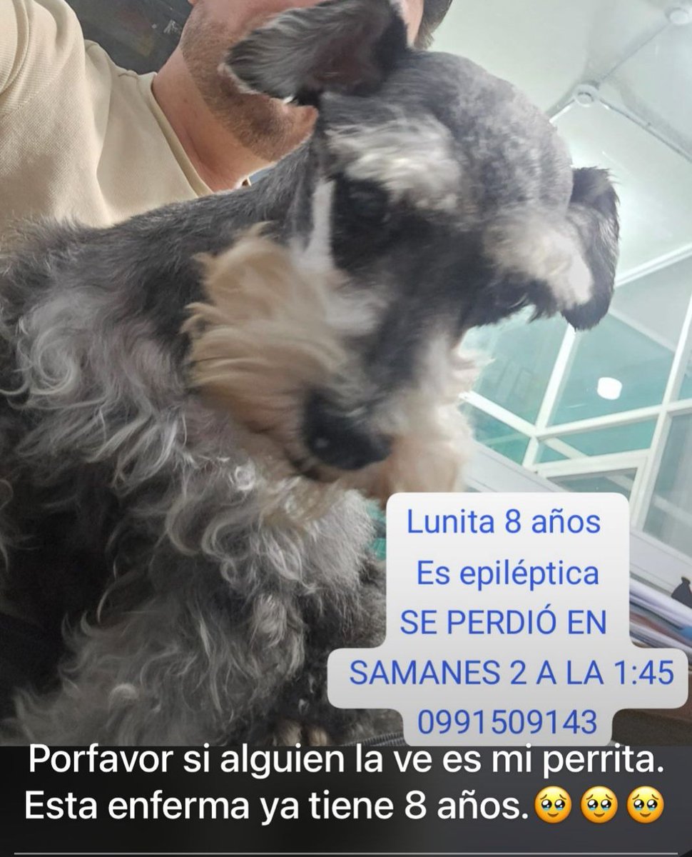 #PerritoPerdido
Ayuden a compartir por favor, gracias
