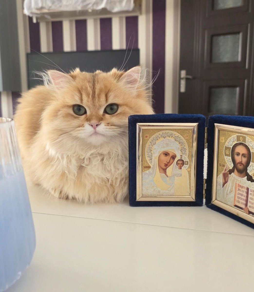 Sayan Biswas tweet media