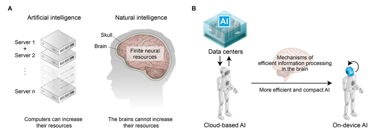 hyoungfkim's tweet photo. https://t.co/oChA06eBfn
Brain-inspired strategies for efficient artificial intelligence
https://t.co/FD4jWmNYsl https://t.co/XUVlM6acmY
