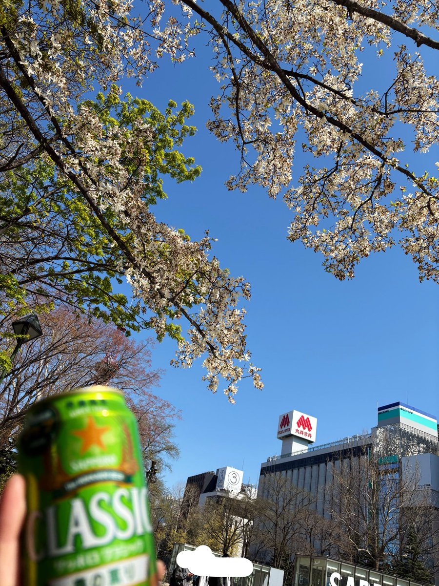 すみと🎸🎤 tweet media