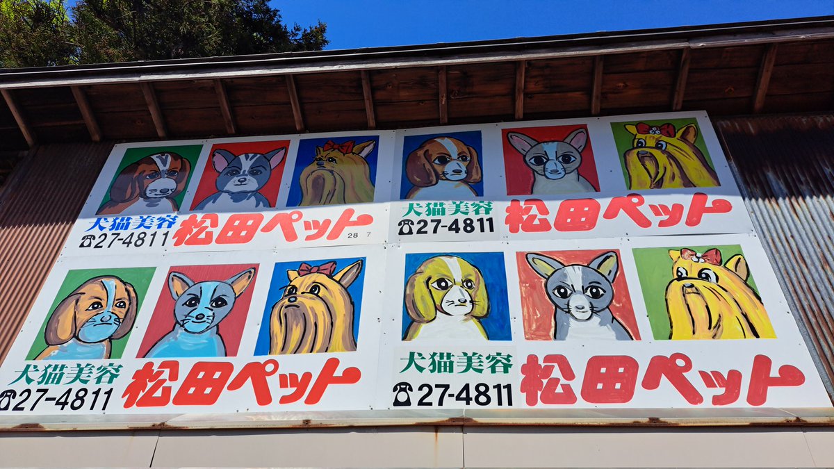 メガネシウム tweet media