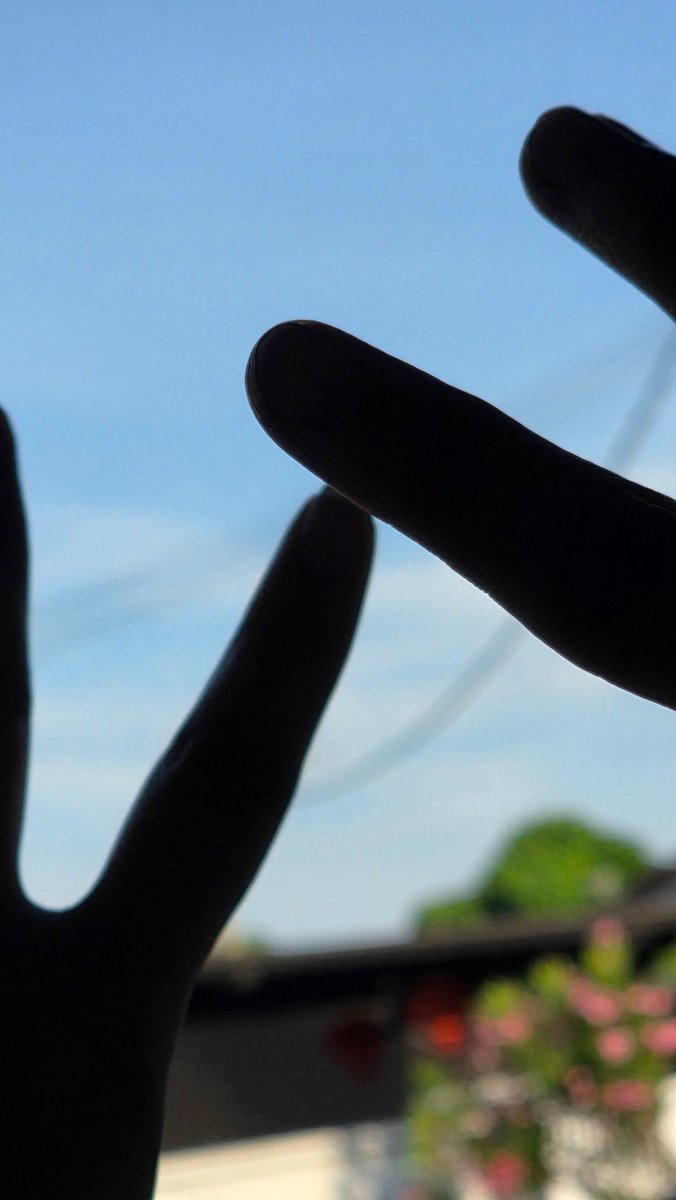 June六月~ tweet media