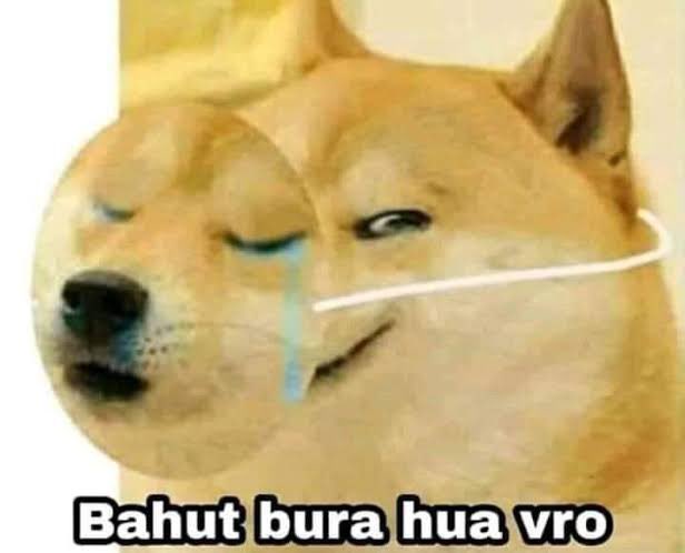 Shehzad Jai Hind (Chowkidar as per INC ecosystem) tweet media