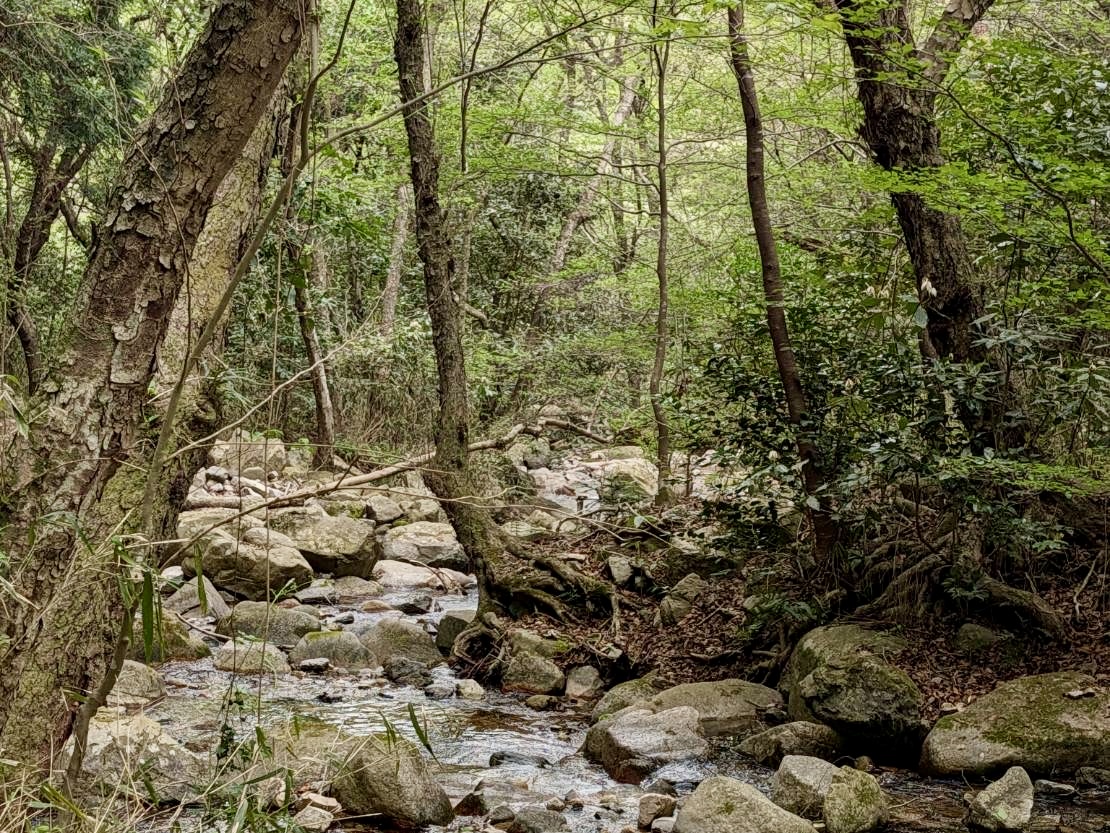 亀澤 範行｜特殊清掃・僧侶 tweet media