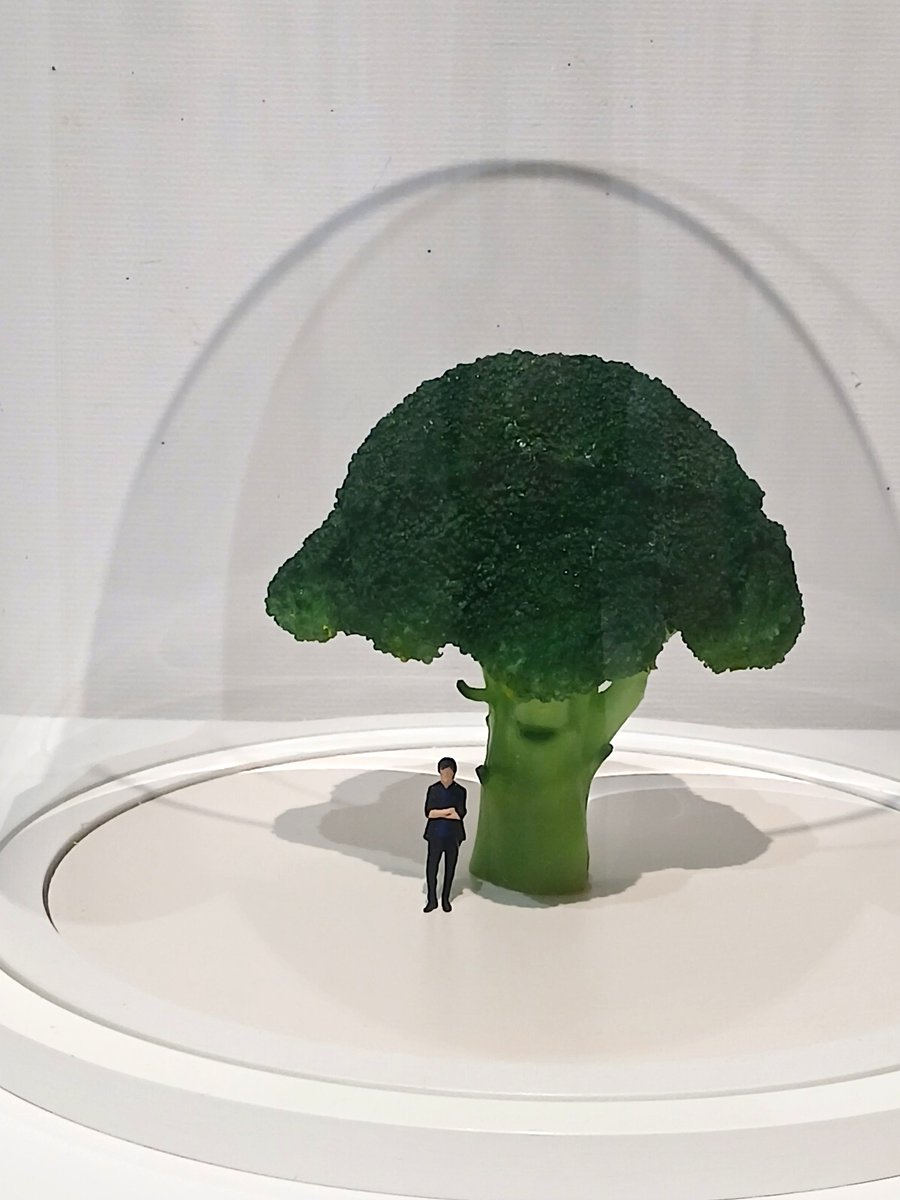 MINIATURE LIFE展2@佐賀県立美術館 (@saganewsp_art) / Posts / X