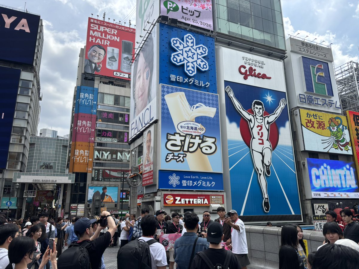 フェル tweet media