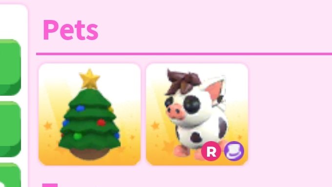 🐰 || dmts ‹3 tweet media