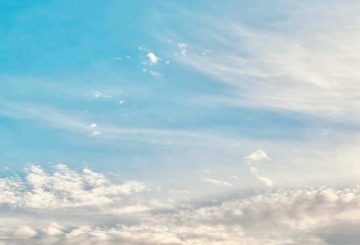 碌 🌫️ roku tweet media