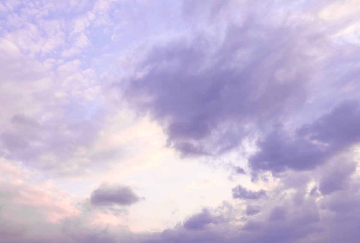 碌 🌫️ roku tweet media