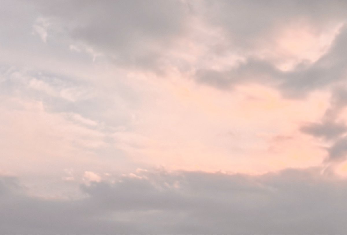 碌 🌫️ roku tweet media