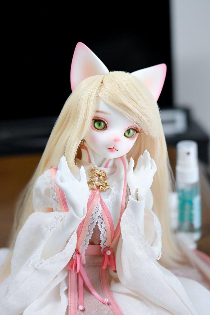 #みんなの精神安定剤はなんですか

ウィッグとかしてたらうちのこかわいいしてると時間が恐ろしいほど溶けます😆
#DearMine  #うちのこかわいい