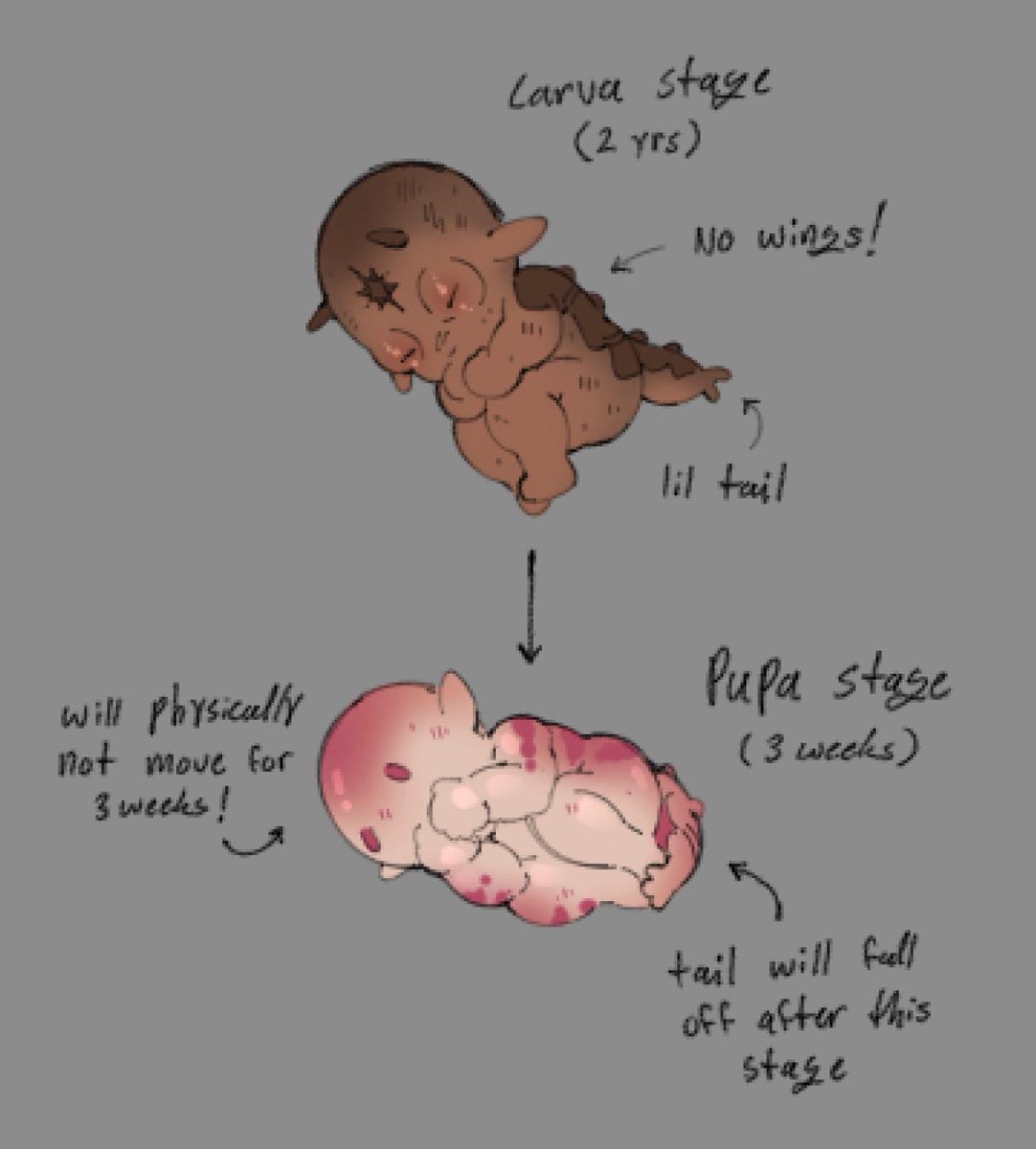 DuckieGrumpy's tweet image. Lowkey I haven’t been drawing cuz of Tomodachi (N I just haven’t been feeling it lol)
Did some brainstorming on how Finn (oc) and Quills baby would look like and funny enough they had a baby in game after I finished drawing her 🤠
#ocxcanon #GOTGstarlord
