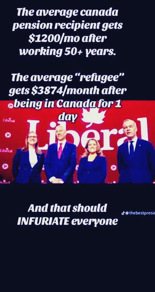 Miss Anon Canuck tweet media