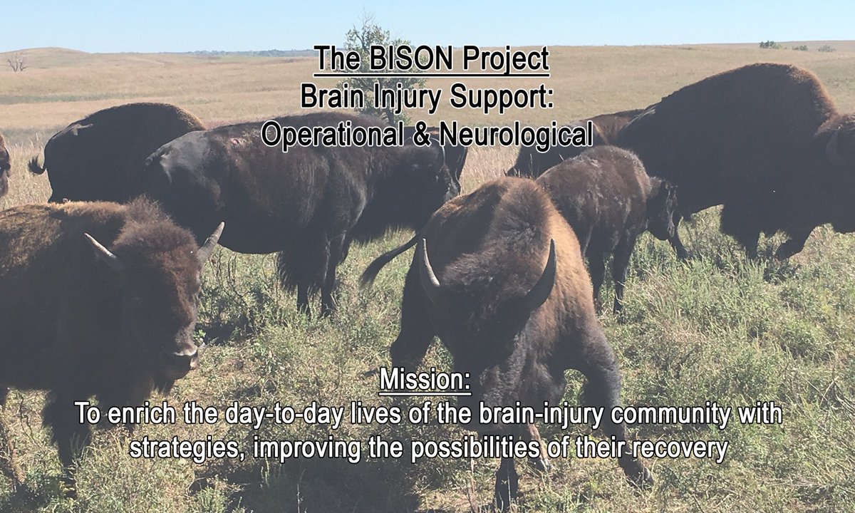 MildTBI's tweet image. Yes, Bison 🦬 strong! 
#TheBisonProject became The Bison 🦬 Foundation, a 501c3 helping survivors of #TBI #CTE #concussion #PTSD and other forms of trauma. Bison are fiercely independent but in a herd, thick-skinned, uncontainable, indomitable.
I wish you success with your book!