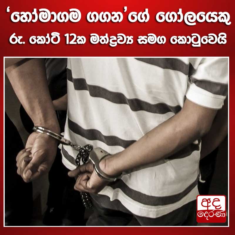 adaderanasin's tweet image. හෝමාගම ගගන'ගේ ගෝලයෙකු පොලීසියට කොටුවෙයි

වැඩි විස්තර - sinhala.adaderana.lk/news/224612

#srilanka #adaderanasinhala #news 

𝐘𝐨𝐮𝐭𝐮𝐛𝐞 𝗖𝗵𝗮𝗻𝗻𝗲𝗹 : youtube.com/@AdaDerana_24