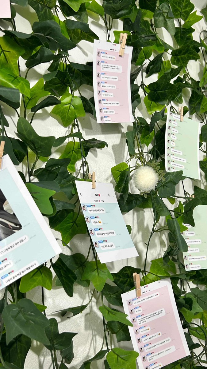 Day6 Bdays tweet media