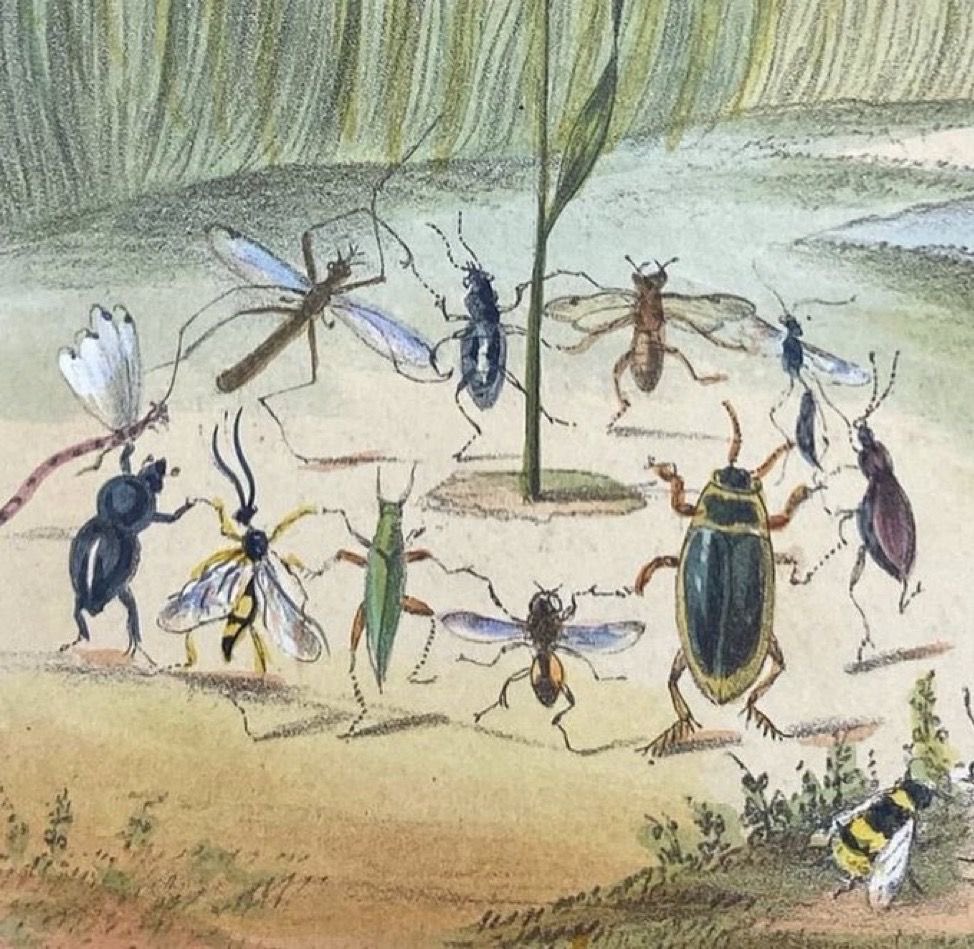 Ara-el ⛥ tweet media