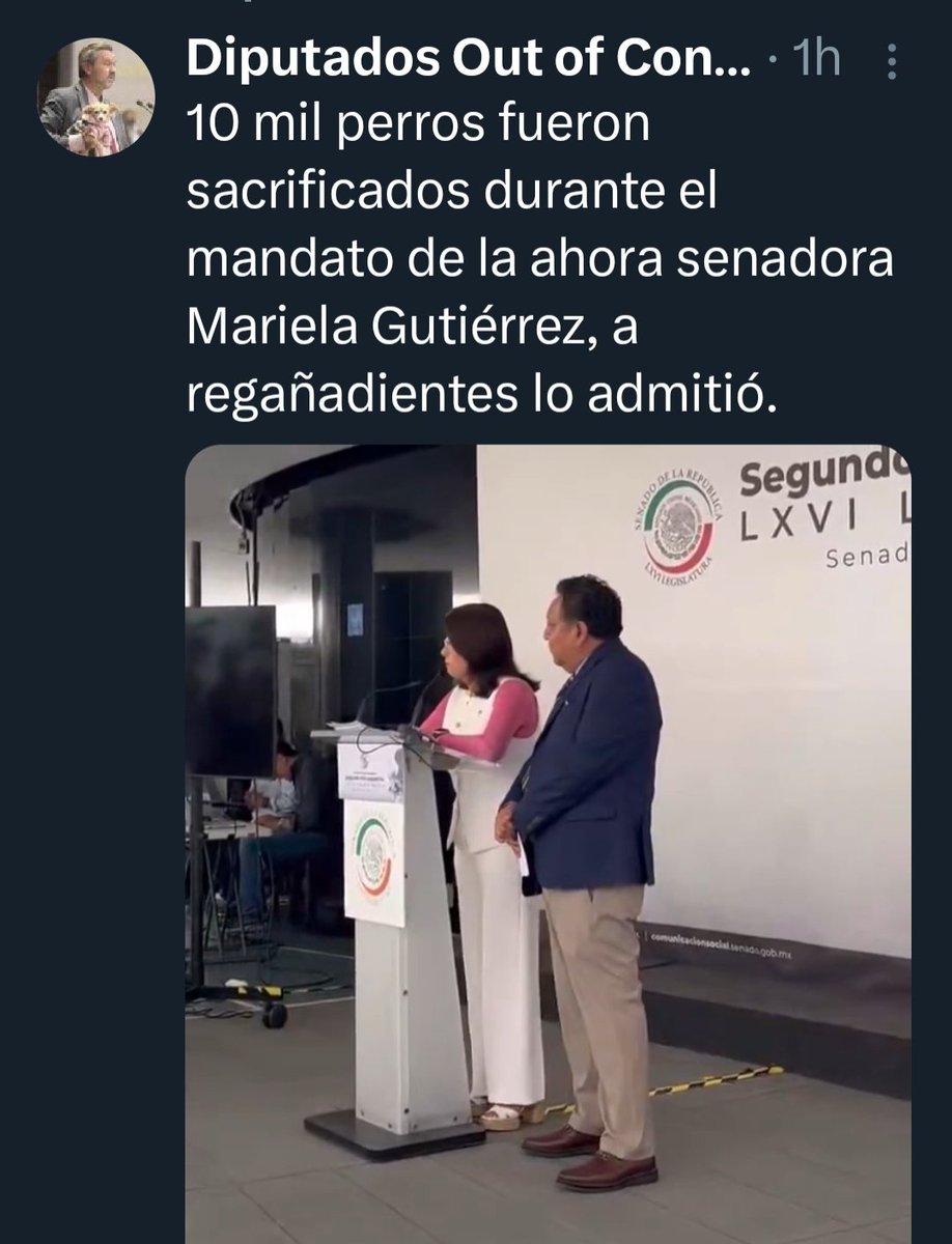 Gabydelao10's tweet photo. @DerechaDiarioMX @MorenaSenadores @SenadoresdelPAN @senadomexicano @peta @PETA_Latino Exigimos la destitución de la mataperros de coacalco Mariela Gutiérrez #StopAnimalCruelty #NoAlMaltratoAnimal #Mexico #EdoDeMex https://t.co/b1lL8toVb6