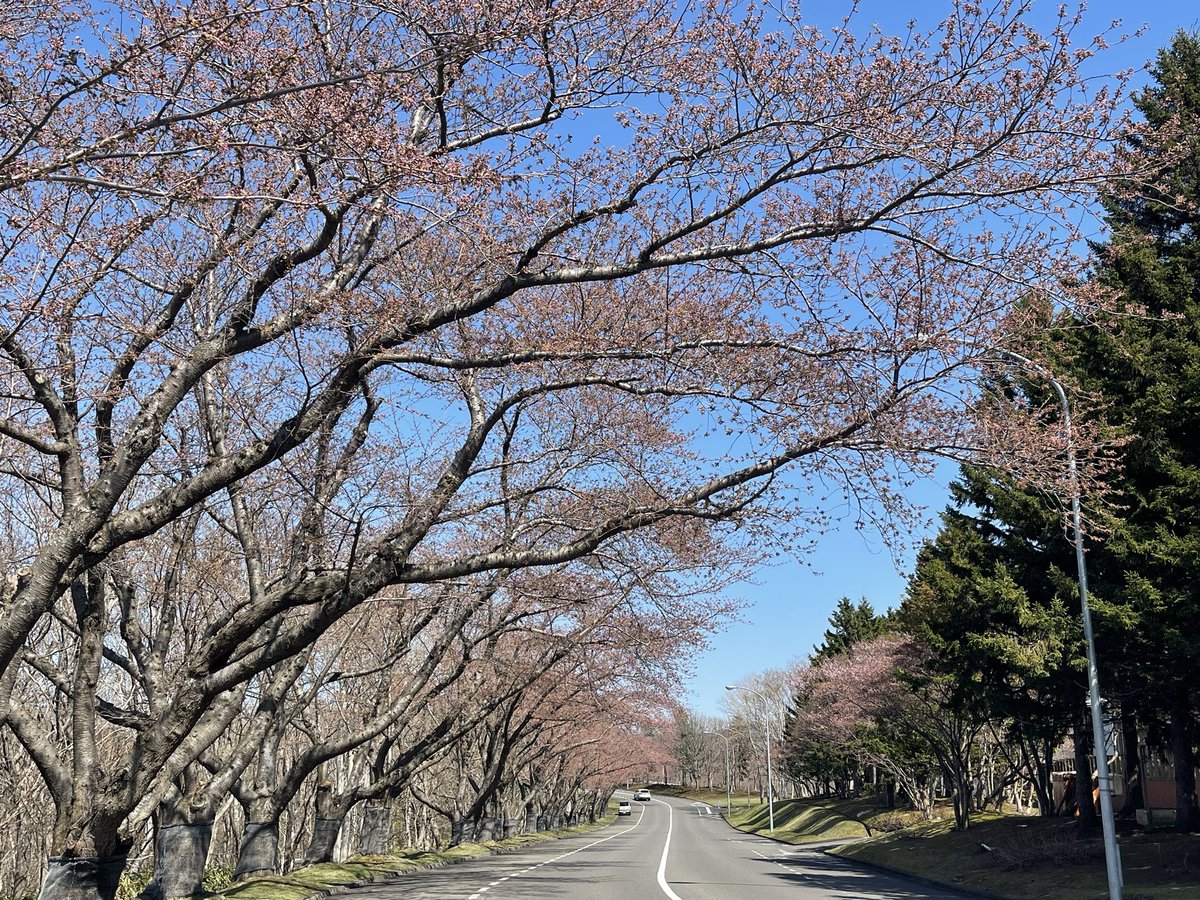 いち（ichi） tweet media